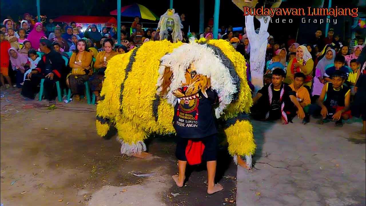HARIMAU MEMANGSA ANAK KECIL!!!KREASI TERBARU-REOG SOERJO WIDJOJO(SURYO WIJOYO)MAS DIMAS-WONOGRIYO