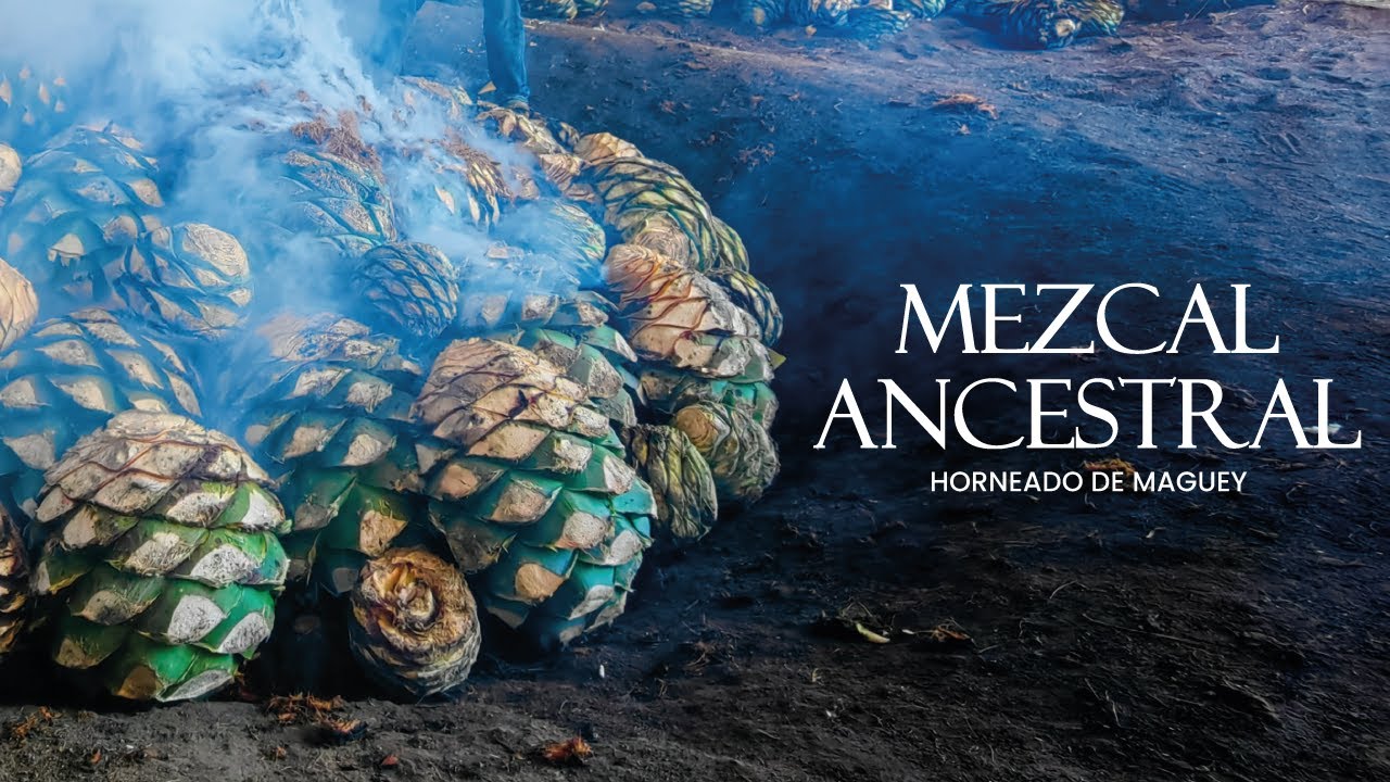 Mezcal Ancestral: Palenque El Dr. en Santa Catarina Minas, Oaxaca