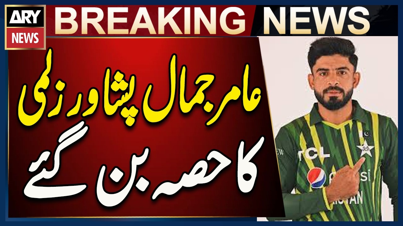 PSL 11 Player Auction: Aamir Jamal Joins Peshawar Zalmi
