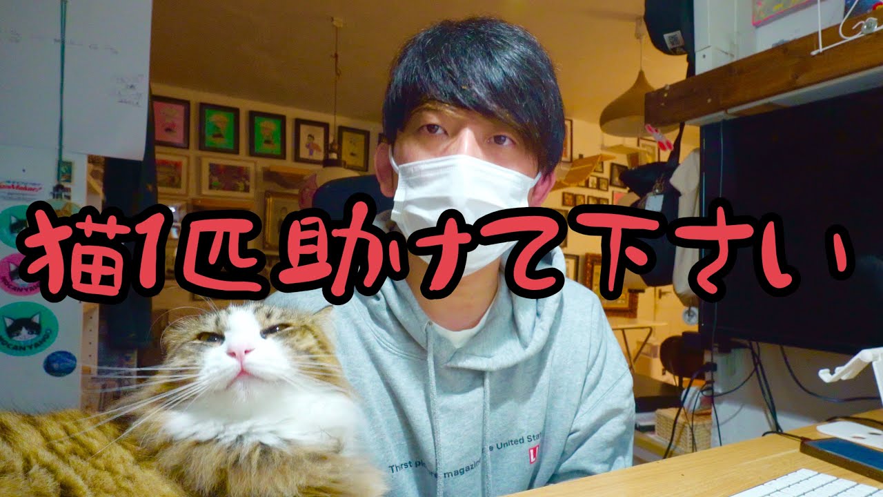 【１通のメール】安心して猫の命を預けられる施設をご存じではないでしょうか？