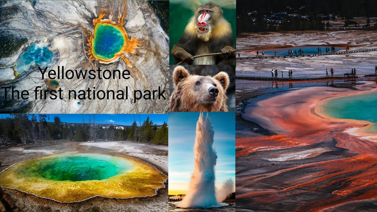 Colorful Yellowstone National Park