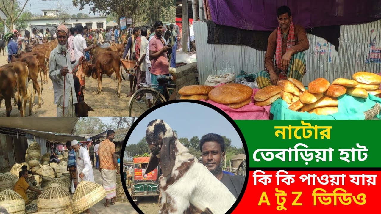 নাটোর তেবাড়িয়া হাটে কি কি পাওয়া যায় A টু Z ভিডিও  | Natore Tebaria Hat