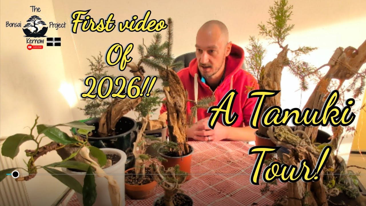 First video of 2026,Let me show you what ive been up too