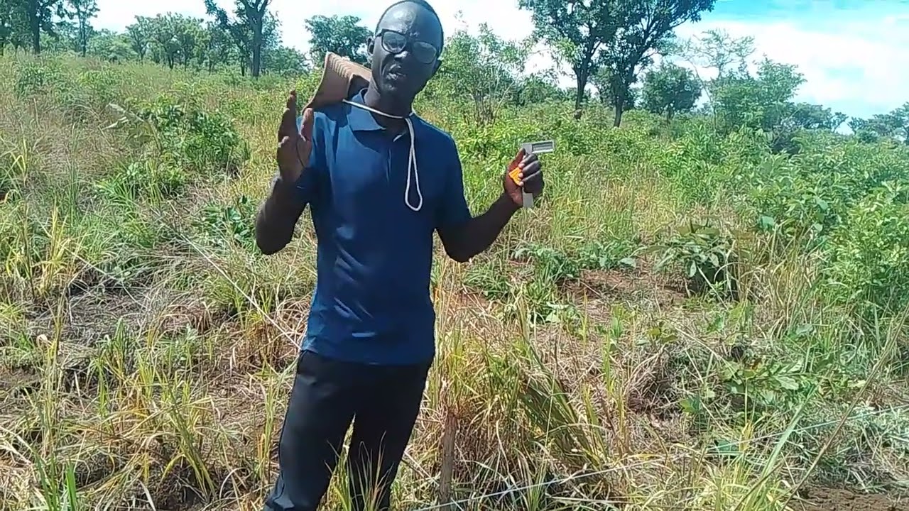 Ecosystem restoration