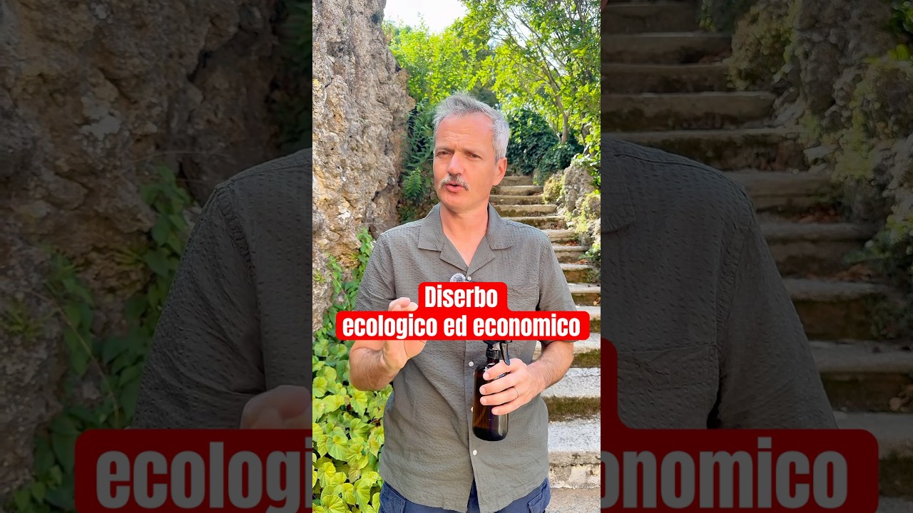 Diserbo economico ed ecologico. #faidate #garden #giardinaggio #natura #giardino #plants #curiosita