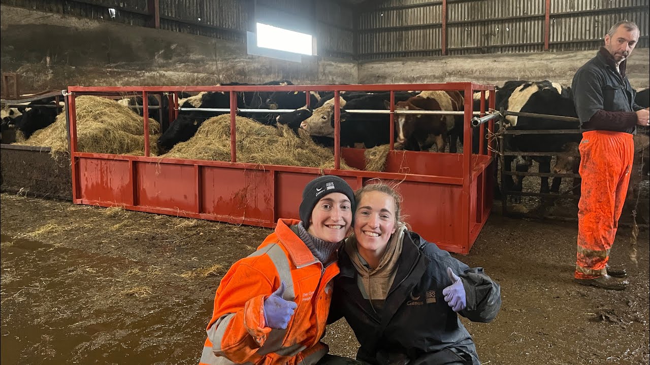 BRAND NEW FEEDER FOR THE CATTLE AS WE CLEANED THEM OUT