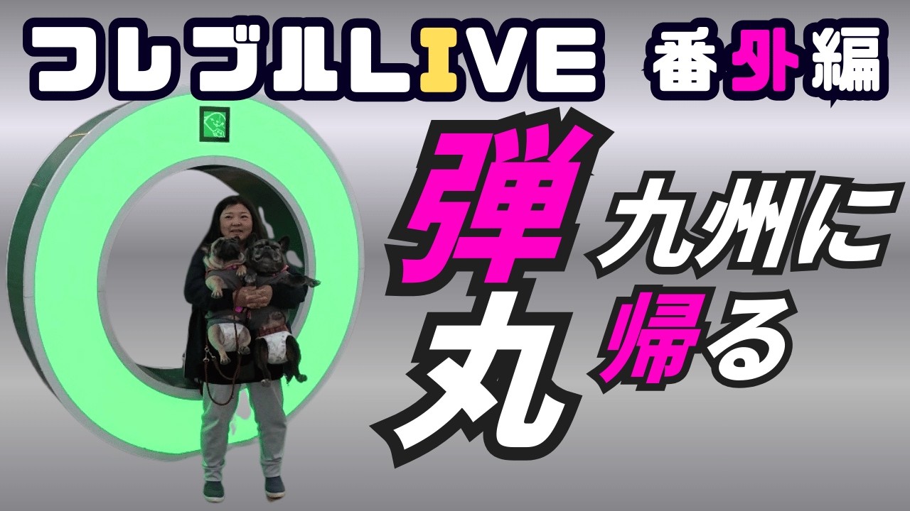 【フレブルLIVE番外編】弾丸！九州に帰る！！