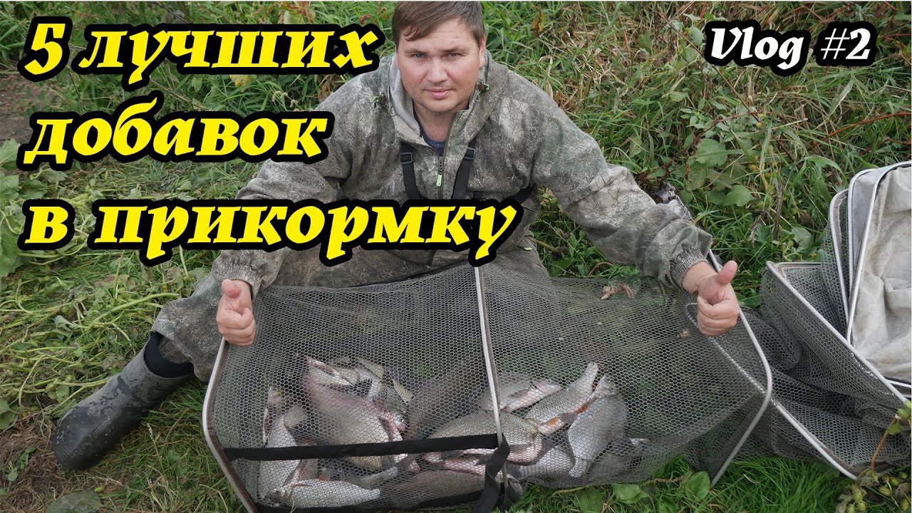 Лучшие добавки в прикормку в виде крупной фракции. Мой топ 5 лучших добавок для фидера.