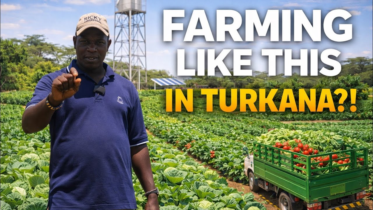 Farming in Turkana: How Cowpeas Are Thriving in Kenya’s Hottest Region | Farming Is Fun