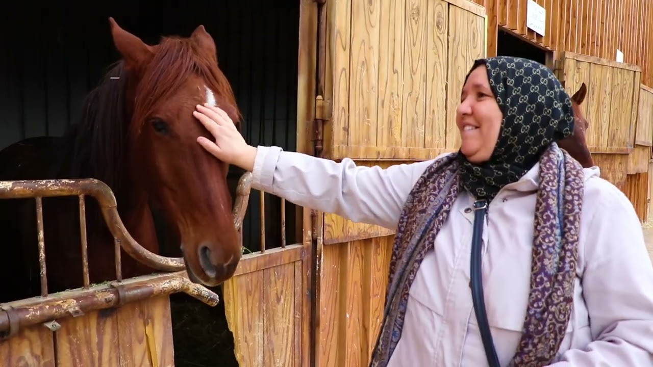 زيارة نادي الفروسية باتنة 🐴🎠 مدرسة مياس وميساء الخاصة باتنة 