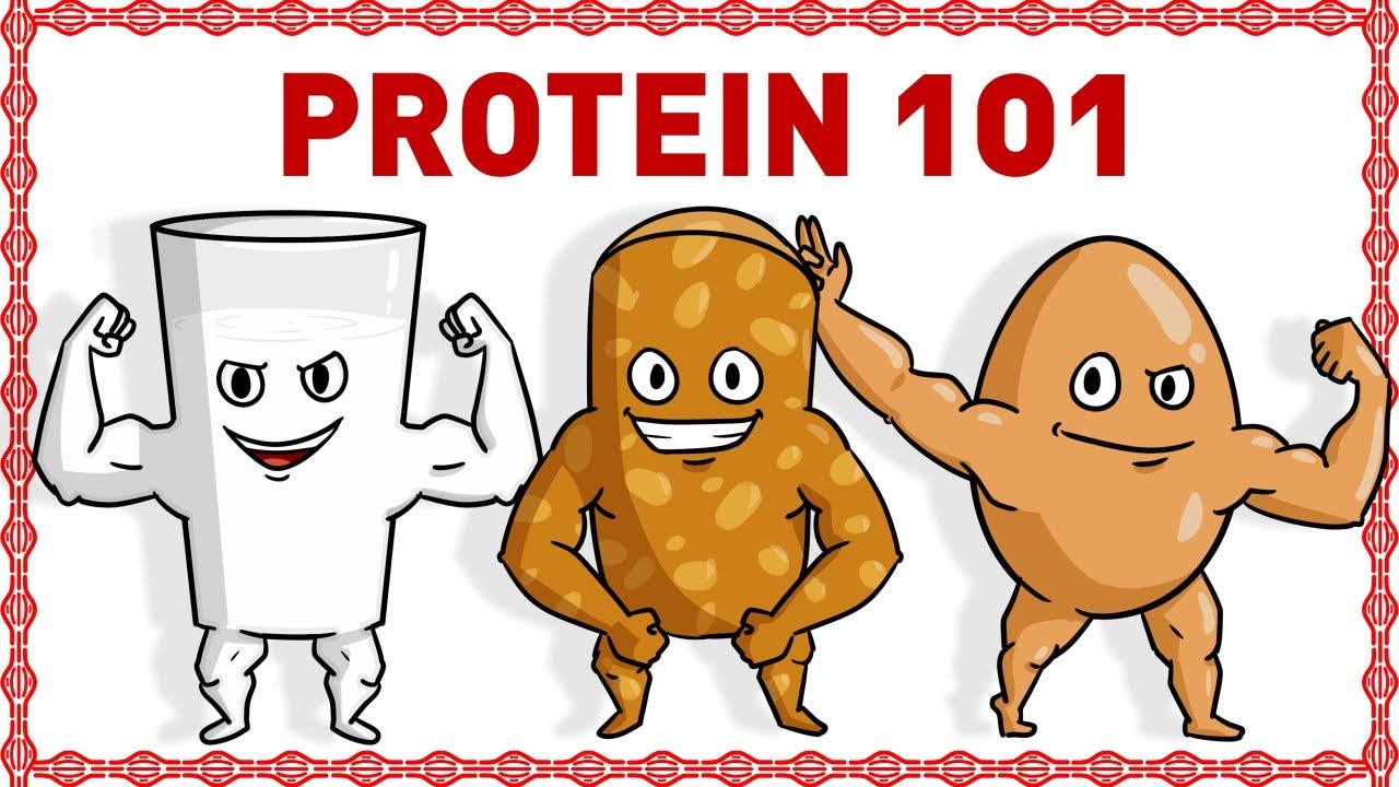 MAKANAN TINGGI PROTEIN (MENU DIET SEHAT) | CARA MEMBENTUK OTOT