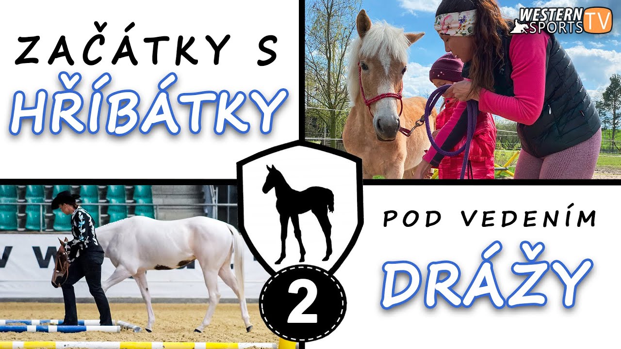 Začátky s hříbátky: Couvání - díl 2.