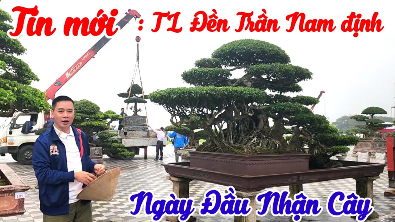Tin mới! Ngày đầu nhận cây tại TL khai ấn đền Trần Nam định 