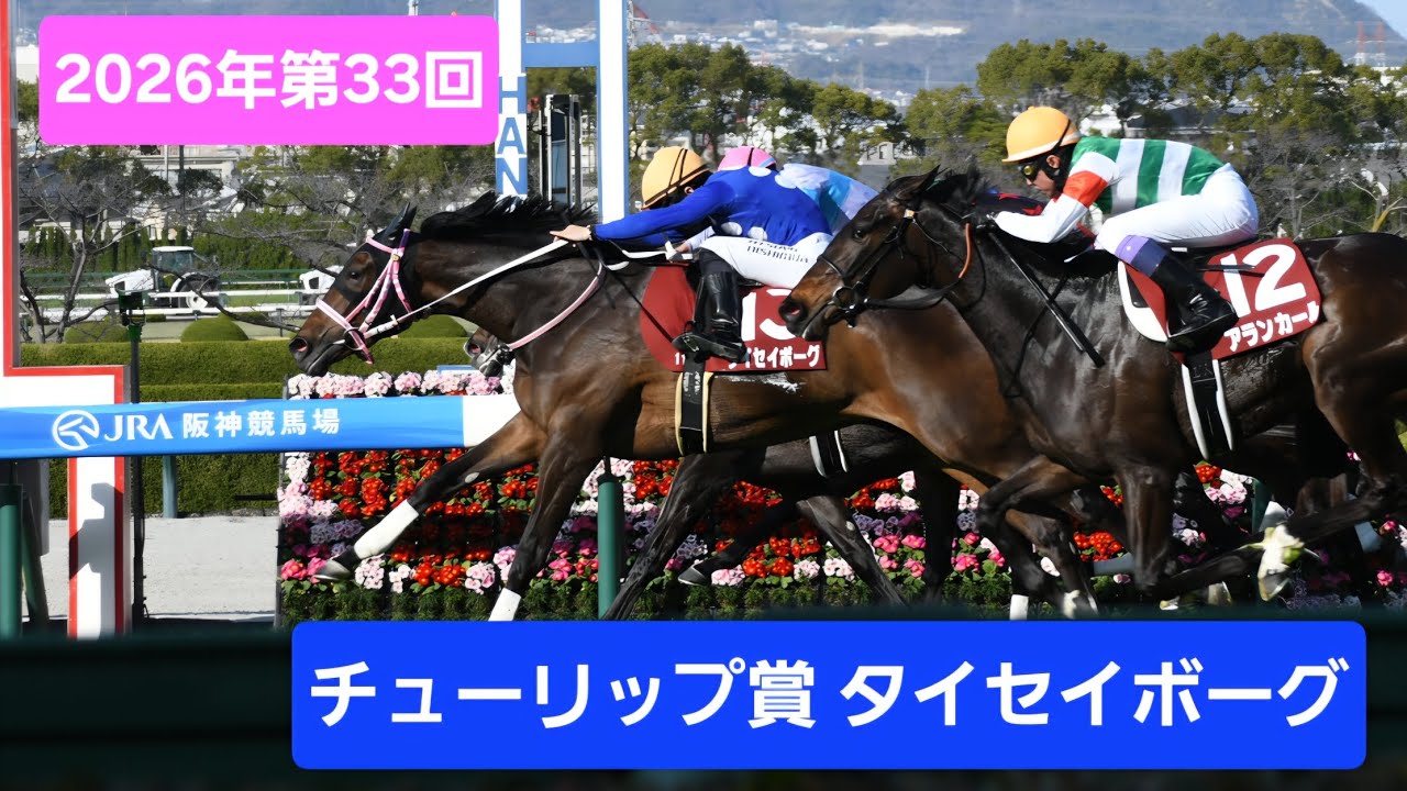 【現地映像】2026年第33回チューリップ賞(GⅡ)優勝馬タイセイボーグ号
