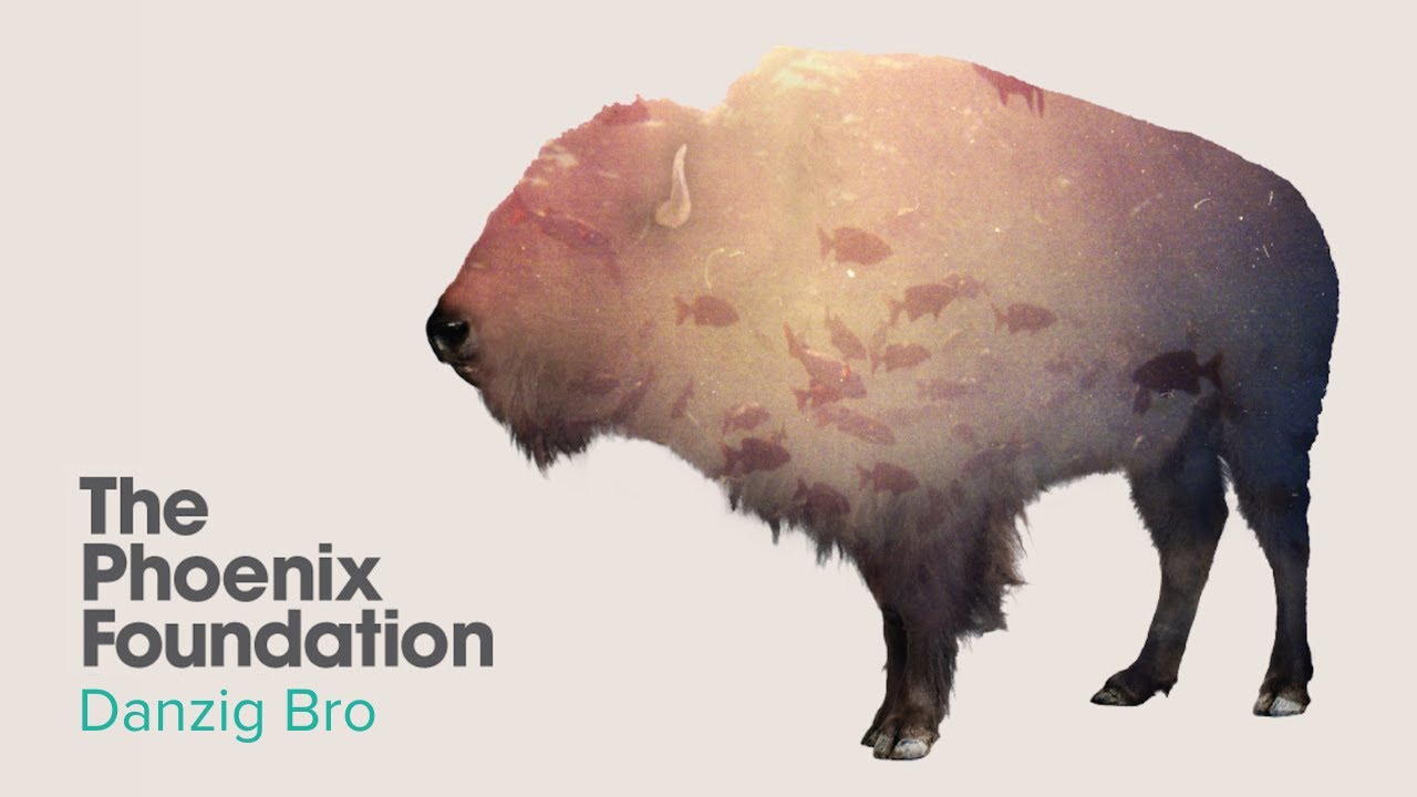The Phoenix Foundation - Danzig Bro (Official Audio)