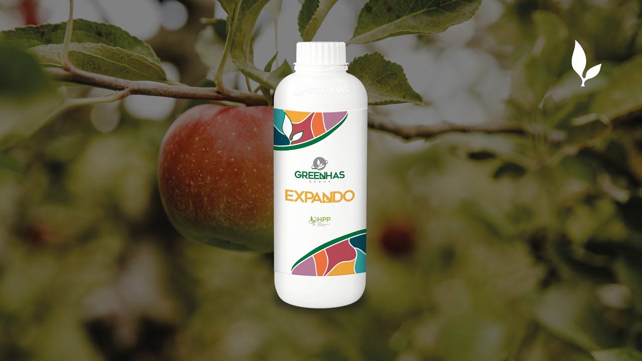 EXPANDO - product video
