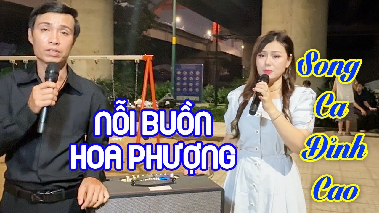 Nỗi Buồn Hoa Phượng | Phong Sơn Nước & Tiểu Thúy | Bolero Song Ca Đường Phố Hay Nhất