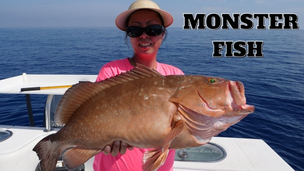 Catching MONSTER fish in the Dry Tortugas #grouperfishing #drytortugas #monsterfish