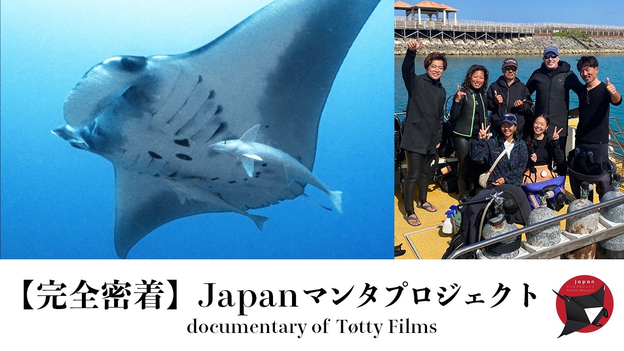 【日本初公開】マンタ行動調査プロジェクトに密着 Japan #manta Project #mantaray