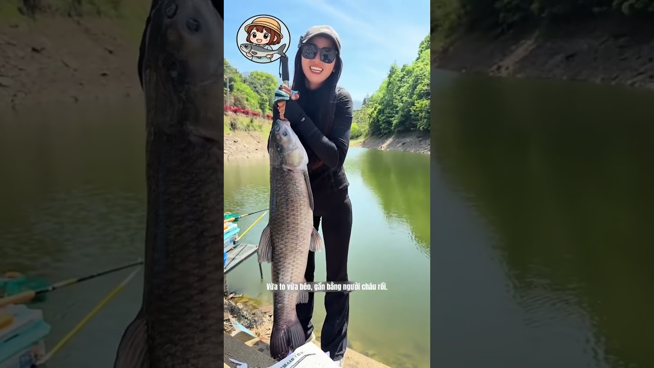 Cùng mỹ nữ TQ đi săn hàng khủng tại hồ dịch vụ, kéo hàng khủng muốn gãy cả lưng!!