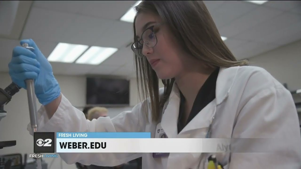 An inside look at medical laboratory science degrees