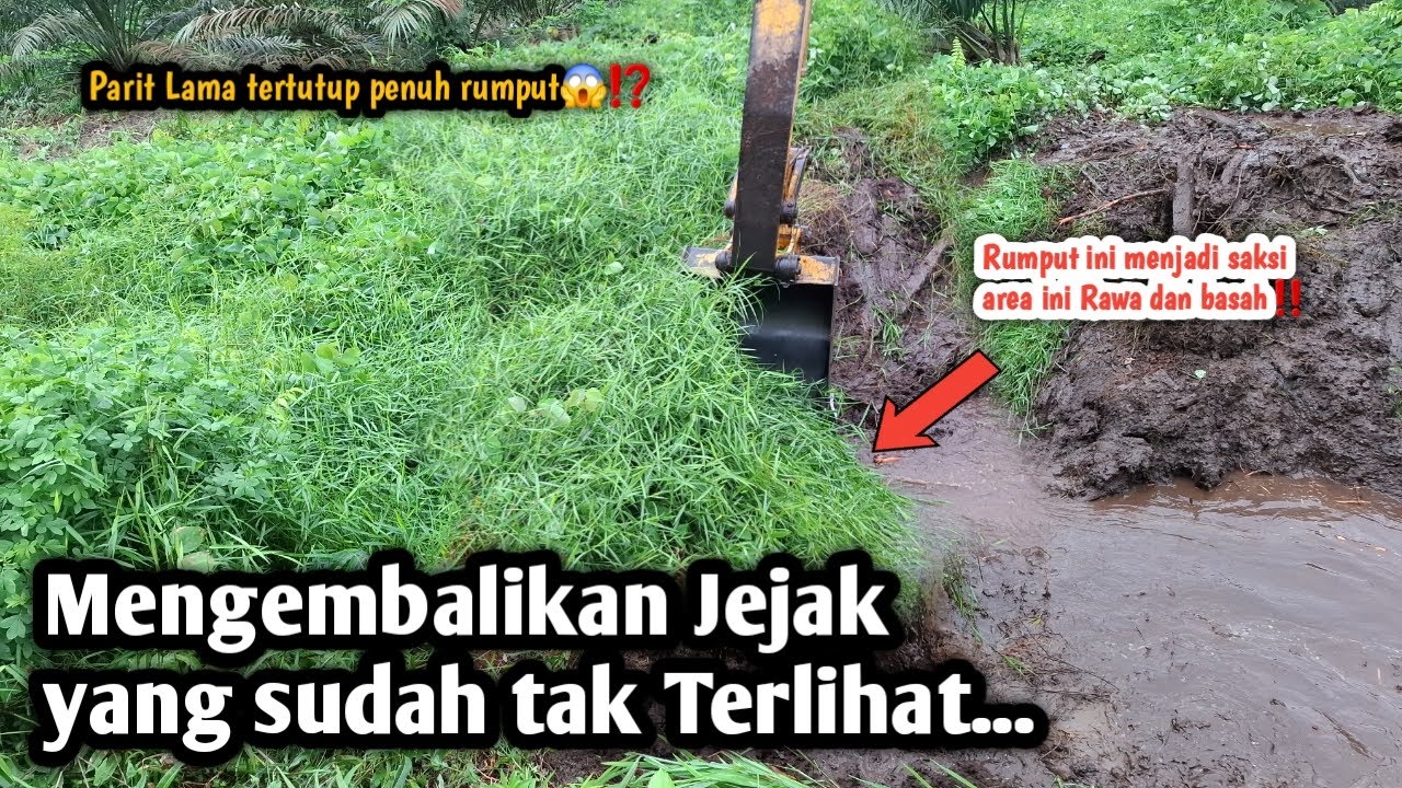 Mengembalikan Jejak yang sudah Hilang😱⁉️Rumput  ini menjadi saksi Area ini Rawa dan basah‼️