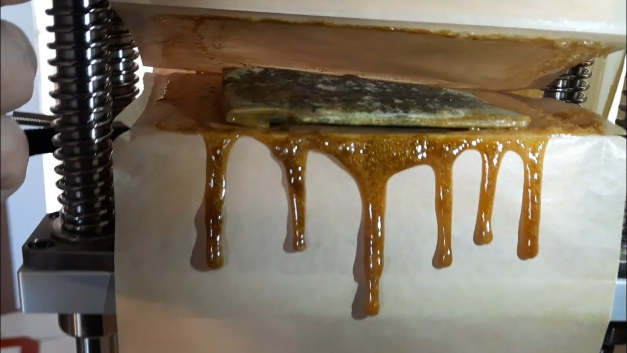 Gorrilla Glue Flower Rosin press
