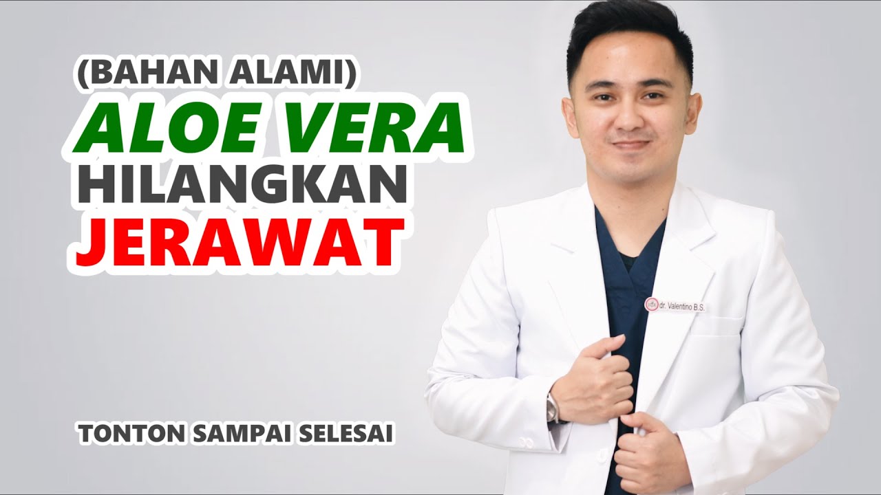 LIDAH BUAYA (aloe vera) untuk JERAWAT