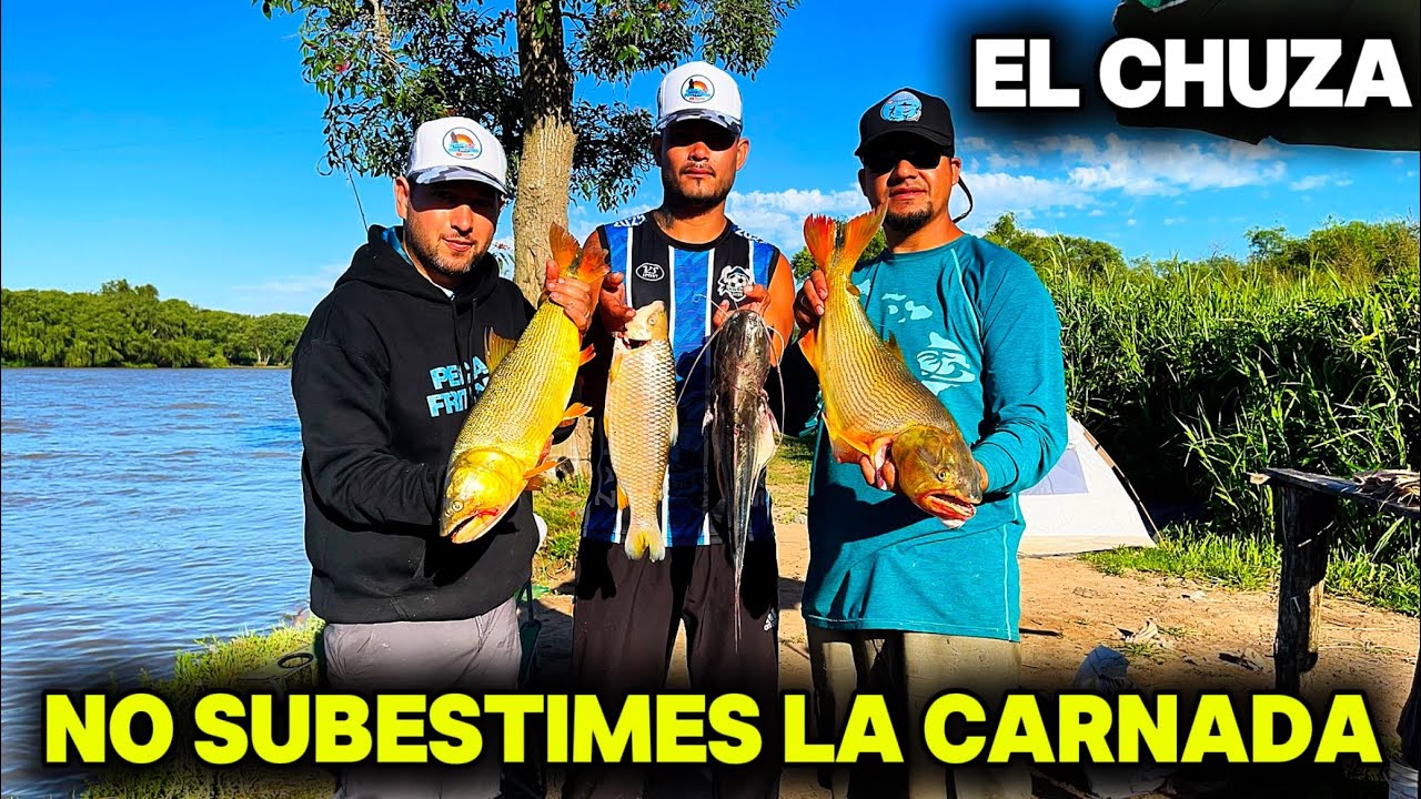 2 DÍAS de PESCA Y COCINA la carnada NOS SORPRENDE | Zarate el chuza pesca
