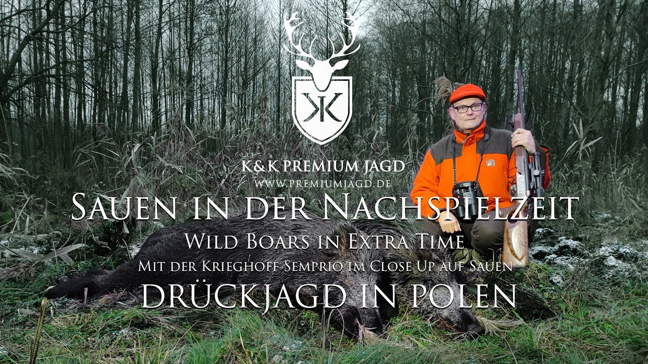 Sauen in der Nachspielzeit - Drückjagd mit der Krieghoff Semprio in Polen