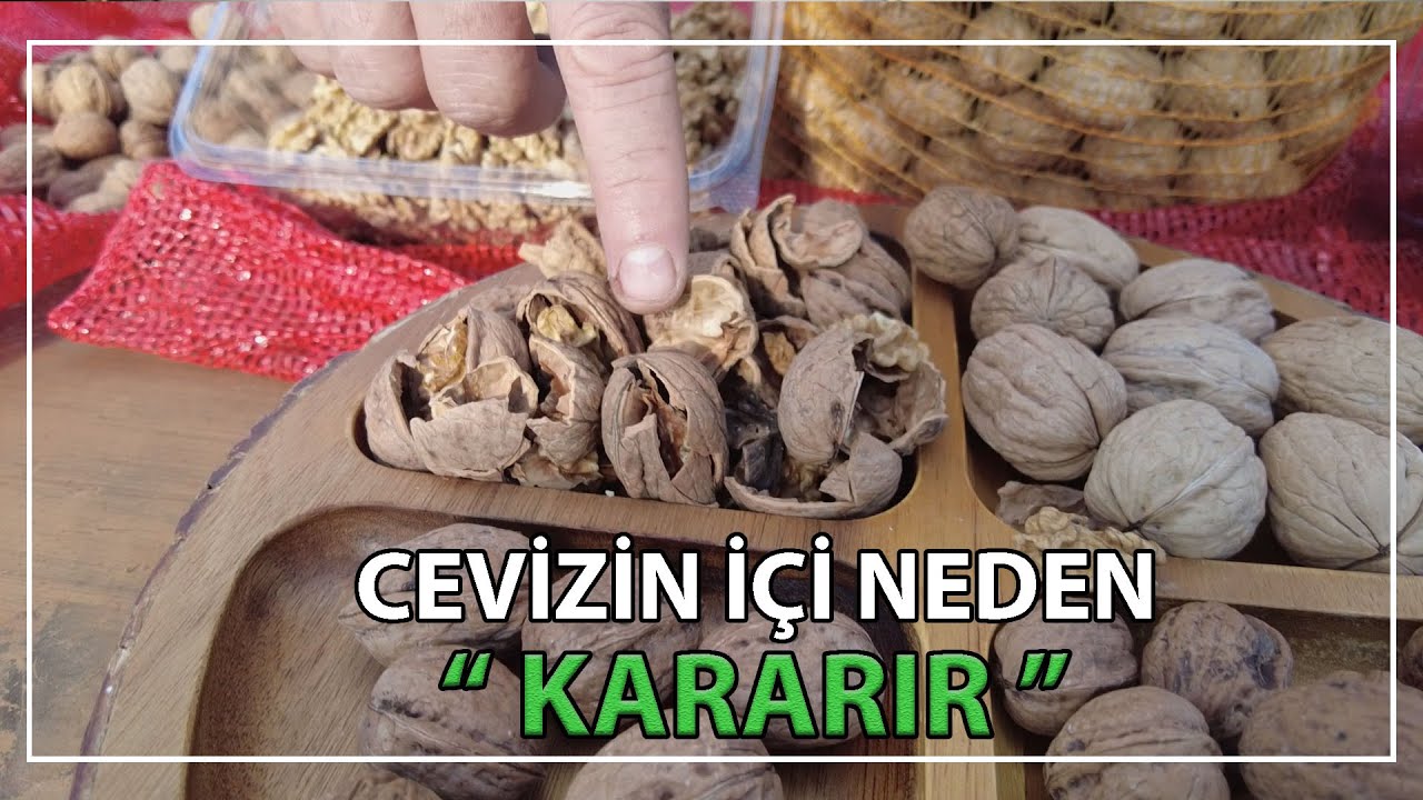 Cevizin İçi Neden Kararır ?