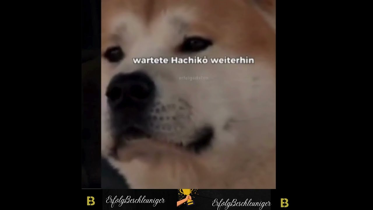 Liebe, Treue und Hingabe: Ein Leitfaden f&uuml;r wahre Beziehungen💥