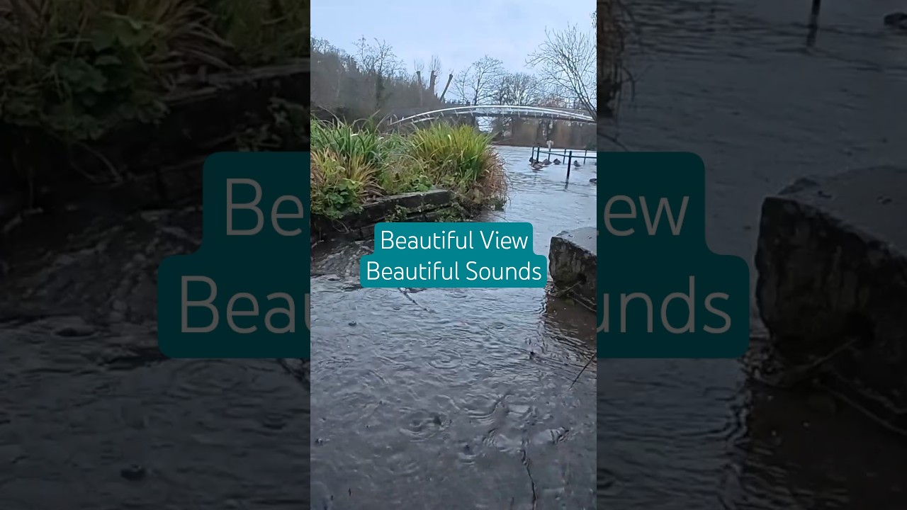 Relaxing River Sounds - Peaceful Forest River - 3 Hours Long - Nature Video. ASMR