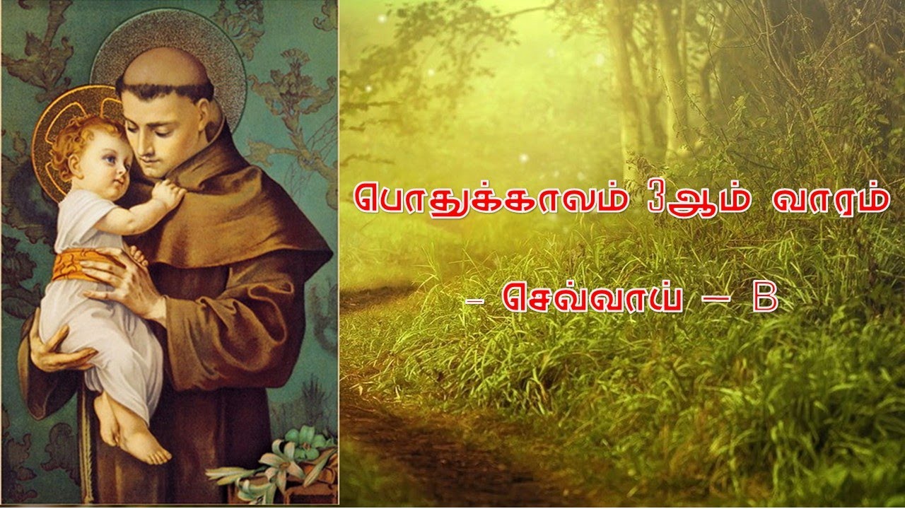 💚 திருப்பலி  (நேரலை) - பொதுக்காலம் 03ஆம் வாரம் - செவ்வாய் - 27 சனவரி 2026
