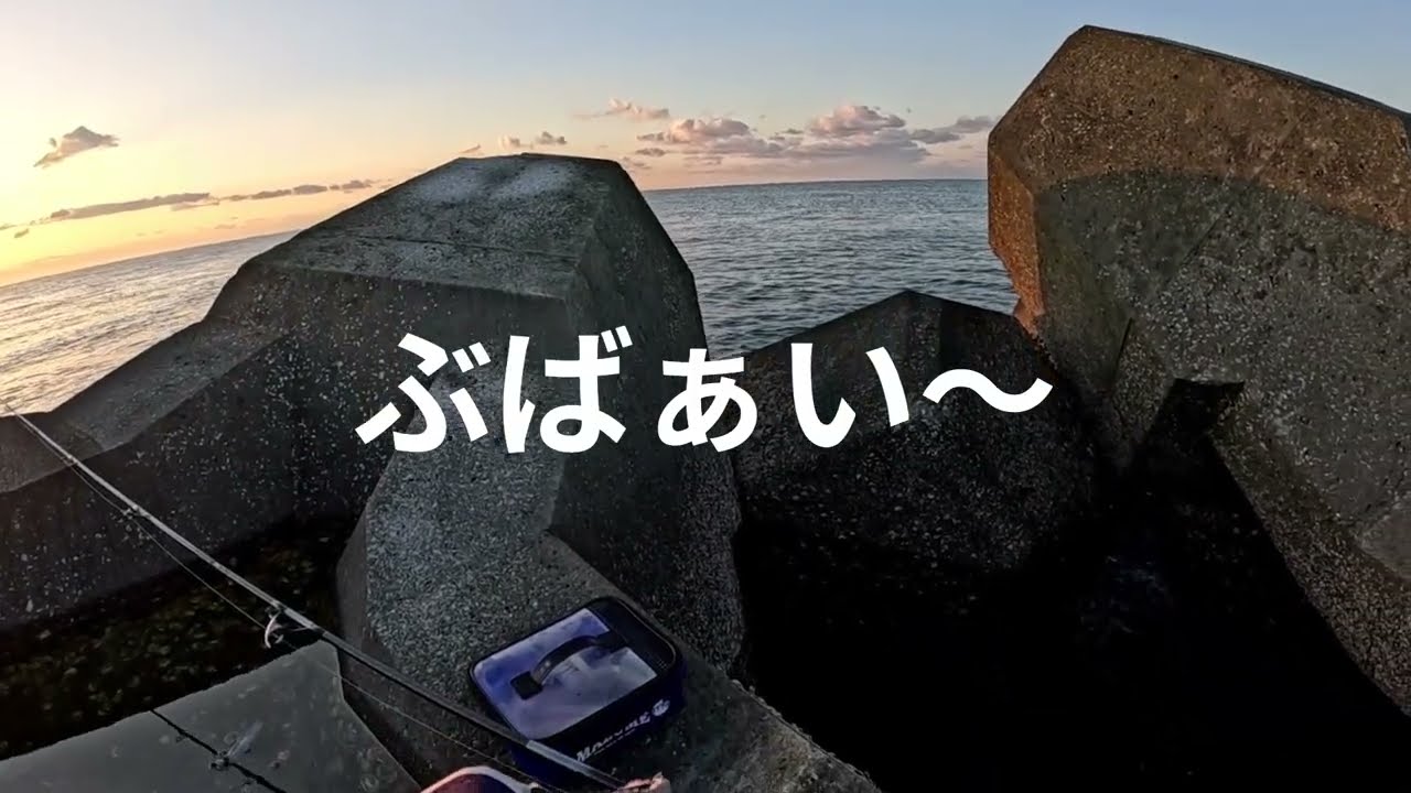 いつもの突堤　令和8年3月8日釣行釣果
