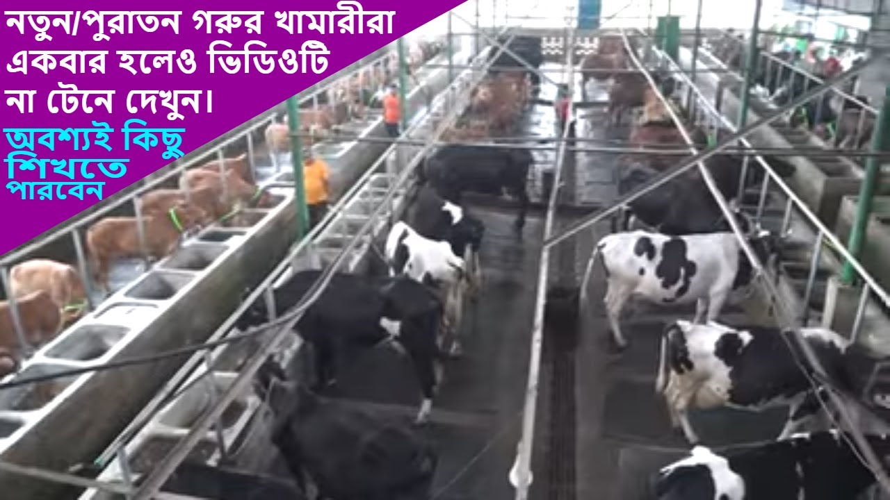 North Bengal dairy farm | গ্যারান্টি কার্ড দিয়ে কৃষি পন্যের চাহিদা মিটাচ্ছেন ইঞ্জিনিয়ার মকবুল হোসেন