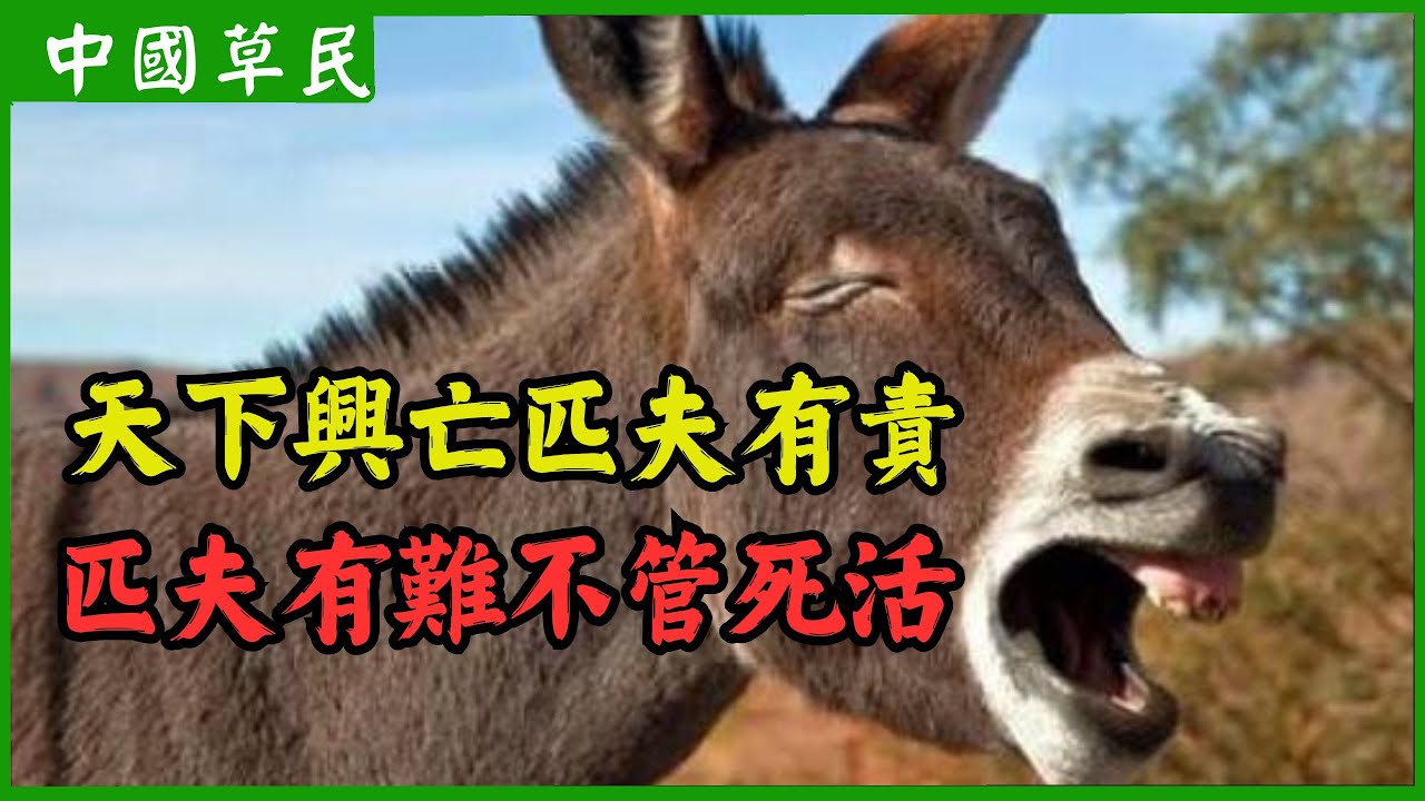 天下興亡匹夫有責.匹夫有難不管死活|Reaction video