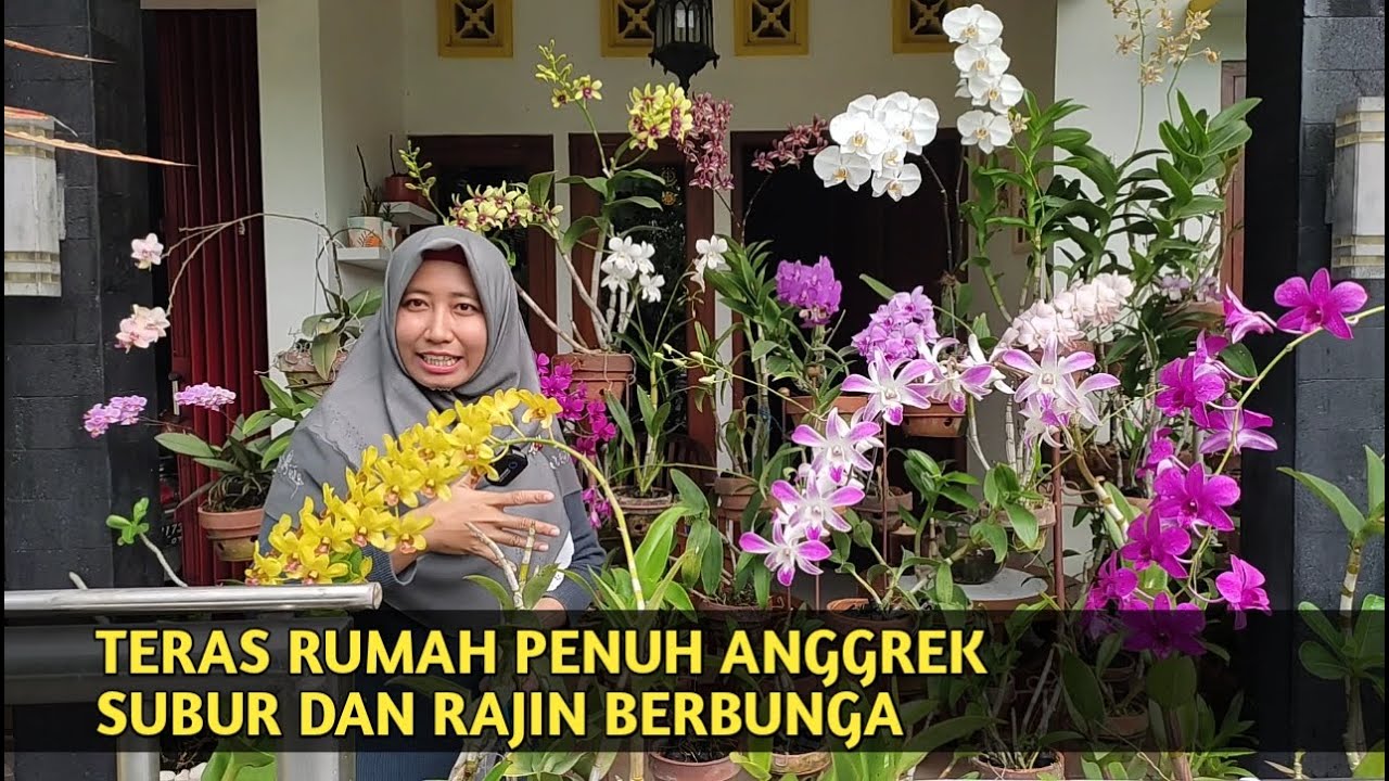 TERAS RUMAH PENUH ANGGREK, SUBUR DAN RAJIN BERBUNGA