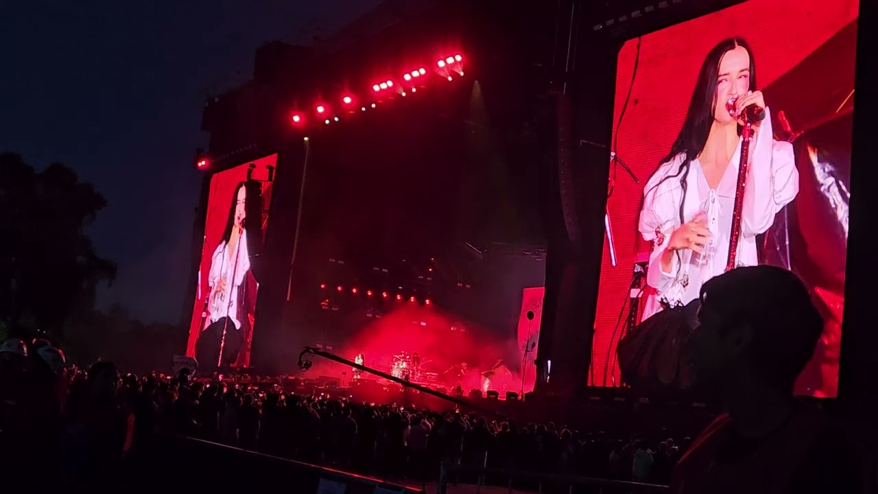 Poppy have you had enough? Argentina 2025