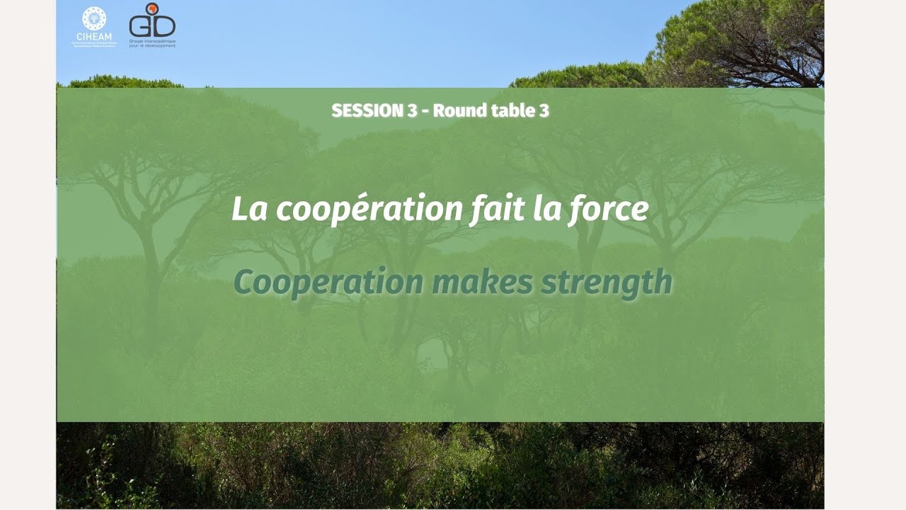 PARMENIDES X - Table ronde 3.3 / Round table 3.3
