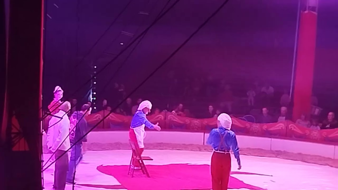 Les  clown tony tonitos  du cirque Nicolas Zavatta himajine 2025 