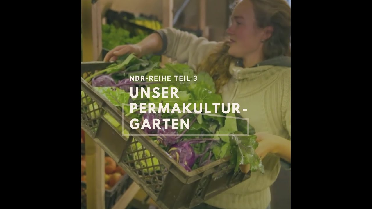 UNSER PERMAKULTURGARTEN - NDR Themenwoche Teil 3