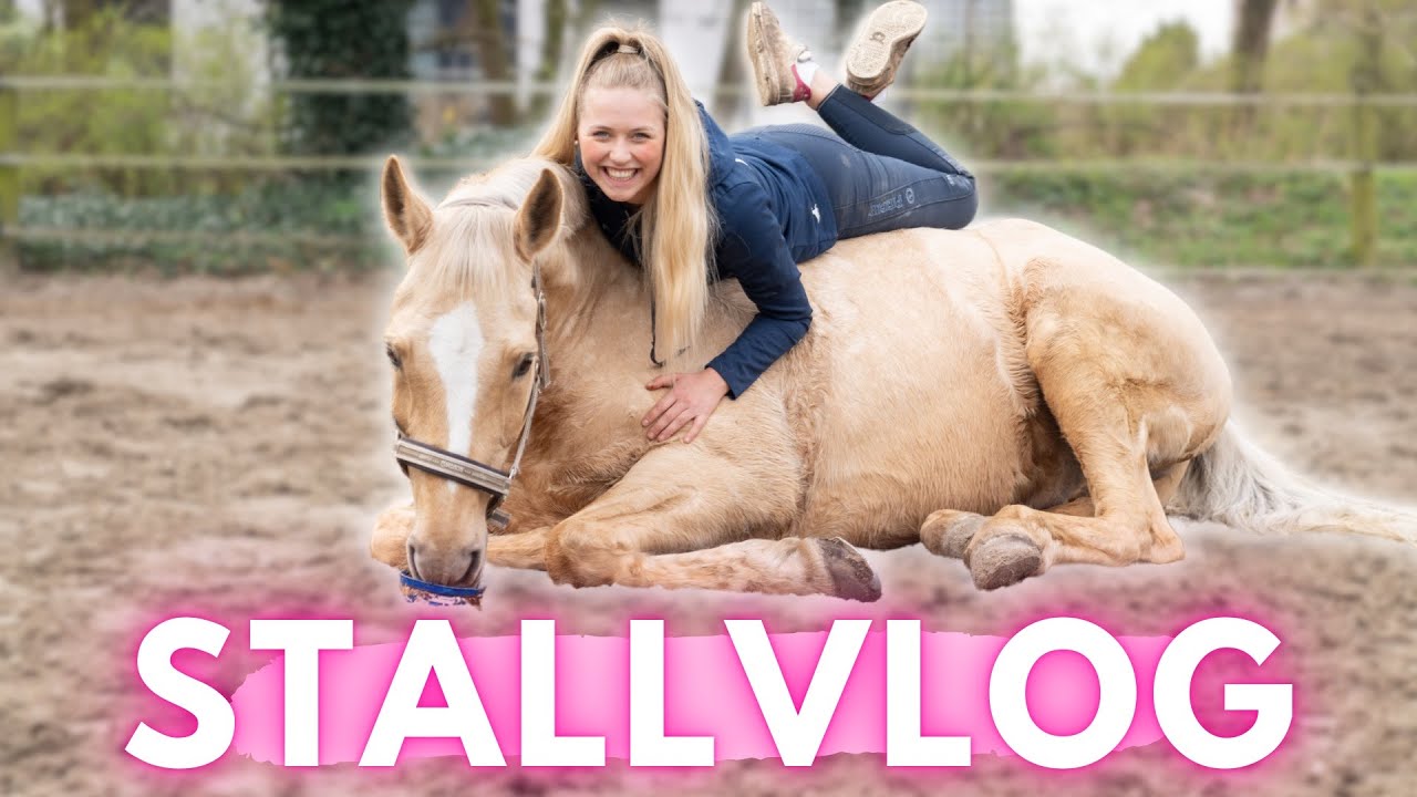 Ein STALLTAG mit mir!😊