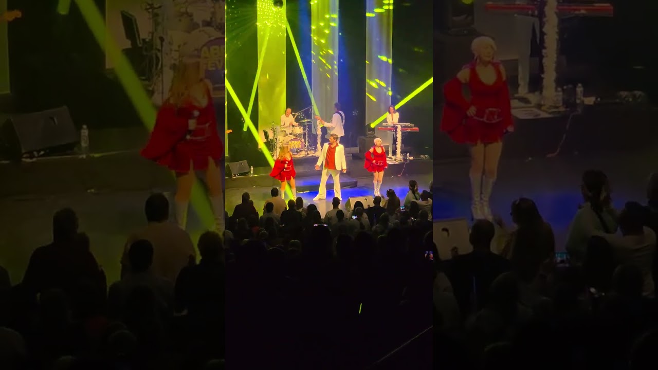ABBA FEVER - 