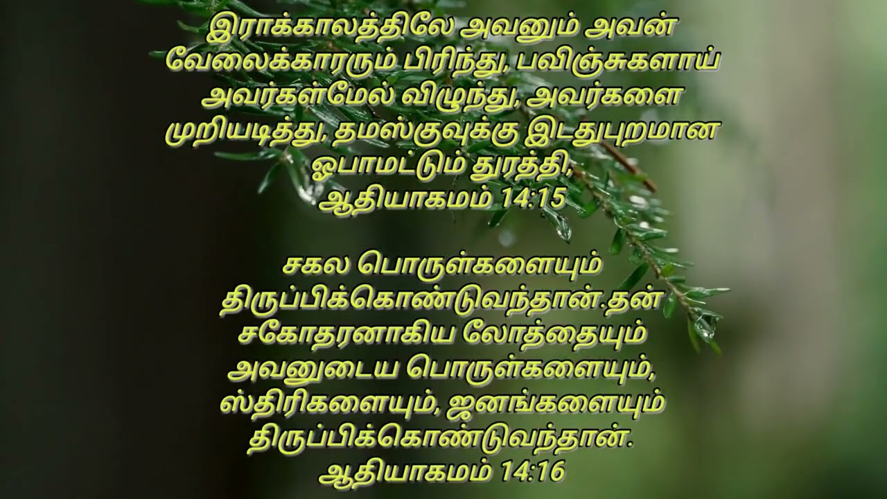 ஆதியாகமம் 14 | Daily Verse Tamil |