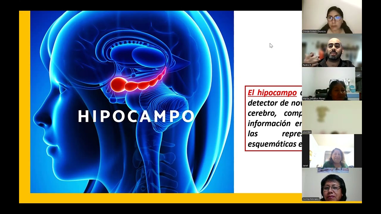 FUNDAMENTOS DE LA NEUROCIENCIA Y LA TERAPIA DE ESQUEMAS