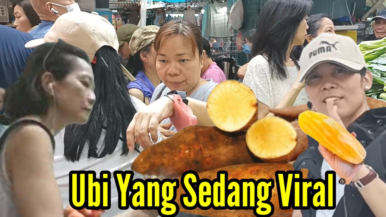 Beruntung sekali Akirnya Ubi langka yang   yang ku cari cari dapat, Murah lagi 