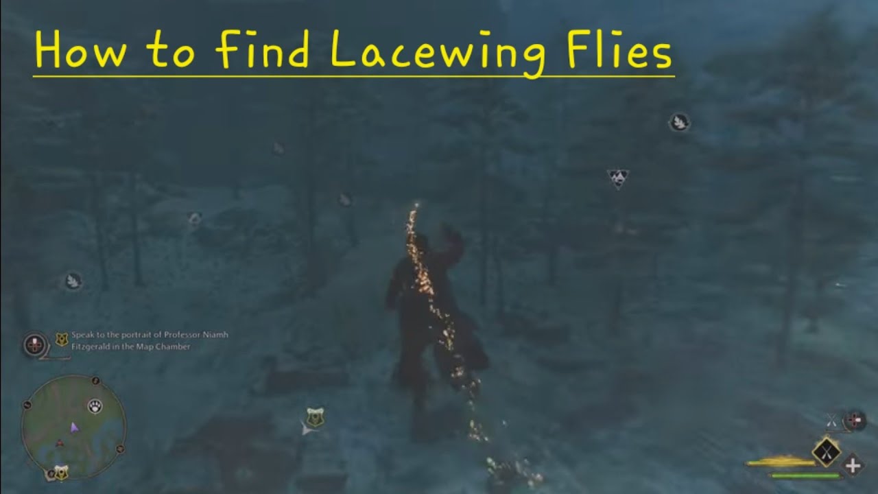 Hogwarts Legacy: How to find lacewing flies for focus potions