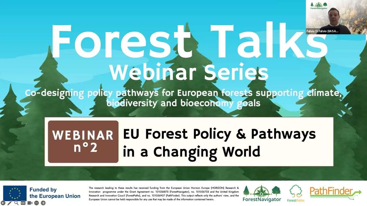 EU Forest Policy & Pathways in a Changing World | Webinar 2 - Forest Talks Webinar Series