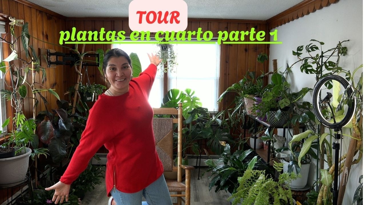 TOUR de PLANTAS en el cuarto PARTE 1